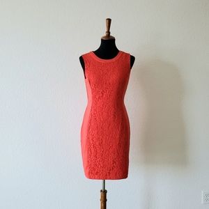 Gianni Bini Dress